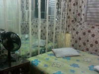 /album/casa-com-3-quartos/img-1292-jpg/